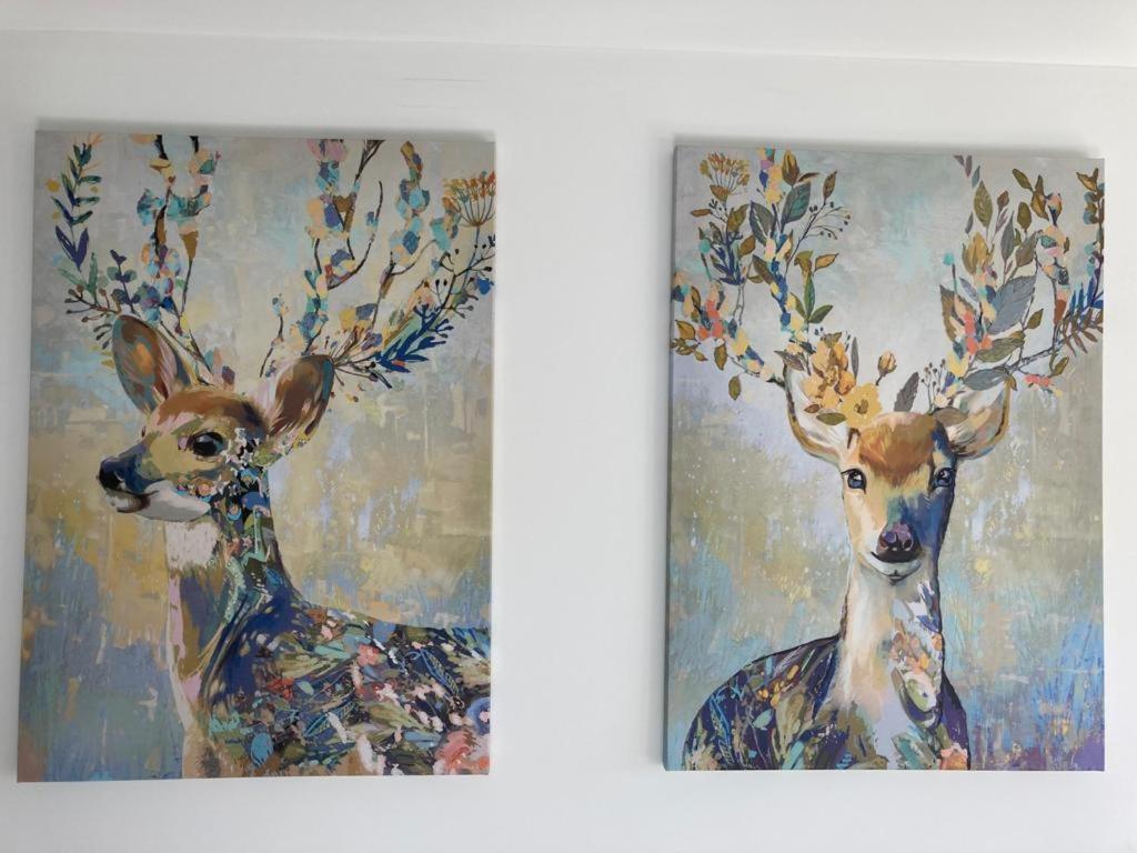 Terrasses De Triplex 242 